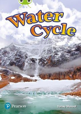 Bug Club Independent Non Fiction Year Two Lime Plus Water Cycle - Torrey Maloof - cover