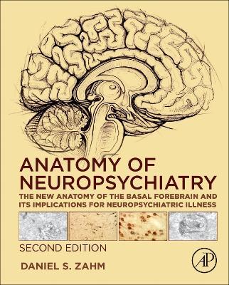 Anatomy of Neuropsychiatry: The New Anatomy of the Basal Forebrain and Its Implications for Neuropsychiatric Illness - Daniel S. Zahm - cover