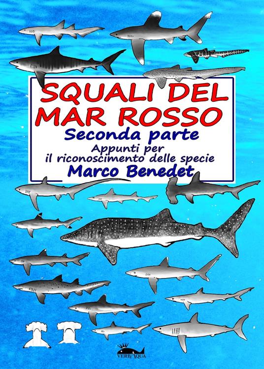 Squali del Mar Rosso: 2a parte Le specie - Marco Benedet - ebook