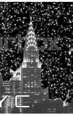 New York City space Chrysler Building: NYC Journal - Michael Huhn - cover