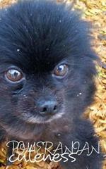 Pomeranian Cutemess Journal: Black Pomerania Blank Journal