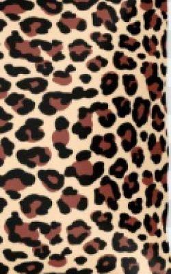 Leopard Sir Michael Designer Writing Drawing Journal: Leopard writing drawing Journal - Michael Huhn - cover