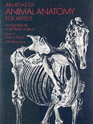 An Atlas of Animal Anatomy for Artists - W. Ellenberger - cover