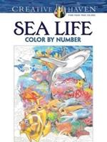 Creative Haven Sea Life Color by Number Coloring Book