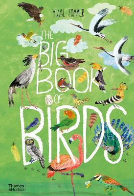 The Big Book of Birds - Yuval Zommer - cover