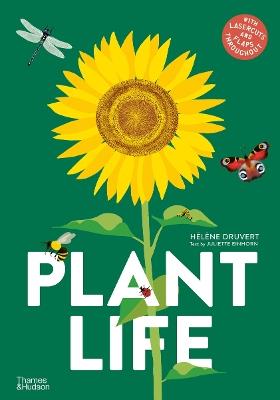 Plant Life - Helene Druvert - cover