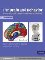 The Brain and Behavior