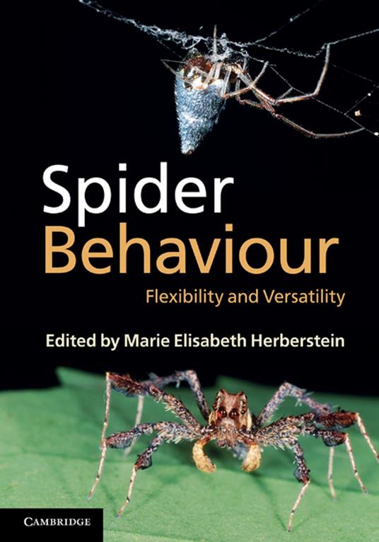 Spider Behaviour