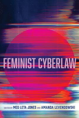 Feminist Cyberlaw - cover