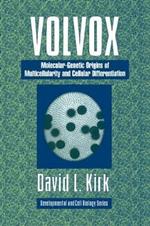 Volvox: A Search for the Molecular and Genetic Origins of Multicellularity and Cellular Differentiation