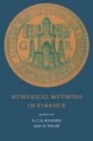 Numerical Methods in Finance - cover