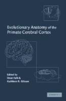 Evolutionary Anatomy of the Primate Cerebral Cortex - cover