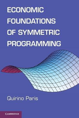 Economic Foundations of Symmetric Programming - Quirino Paris - cover