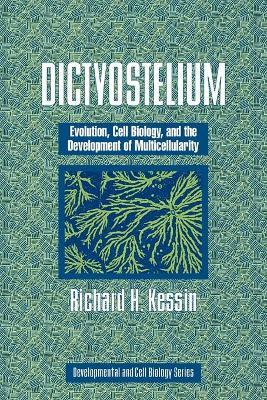 Dictyostelium: Evolution, Cell Biology, and the Development of Multicellularity - Richard H. Kessin - cover