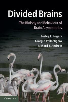 Divided Brains: The Biology and Behaviour of Brain Asymmetries - Lesley J. Rogers,Giorgio Vallortigara,Richard J. Andrew - cover