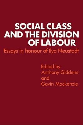 Social Class and the Division of Labour: Essays in Honour of Ilya Neustadt - cover
