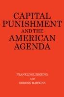 Capital Punishment and the American Agenda