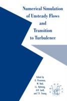 Numerical Simulation of Unsteady Flows and Transition to Turbulence