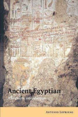 Ancient Egyptian: A Linguistic Introduction - Antonio Loprieno - cover