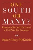 One South or Many?: Plantation Belt and Upcountry in Civil War-Era Tennessee - Robert Tracy McKenzie - cover