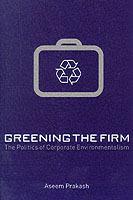 Greening the Firm: The Politics of Corporate Environmentalism