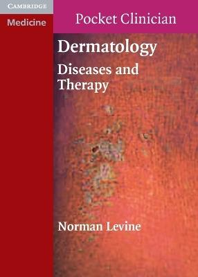 Dermatology: Diseases and Therapy - Norman Levine - cover