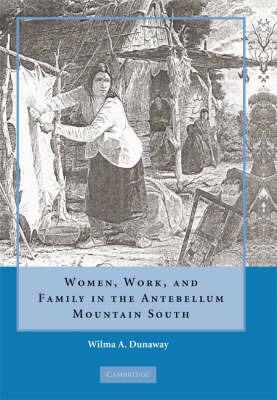 Women, Work and Family in the Antebellum Mountain South - Wilma A. Dunaway - cover