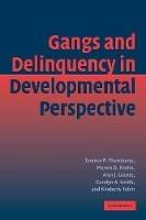 Gangs and Delinquency in Developmental Perspective - Terence P. Thornberry,Marvin D. Krohn,Alan J. Lizotte - cover