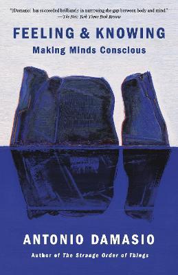 Feeling & Knowing: Making Minds Conscious - Antonio Damasio - cover