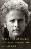 What Is It All but Luminous: Notes from an Underground Man - Art Garfunkel - cover