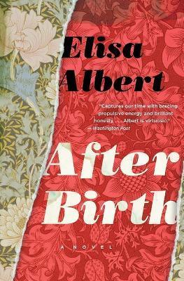 After Birth - Elisa Albert - cover