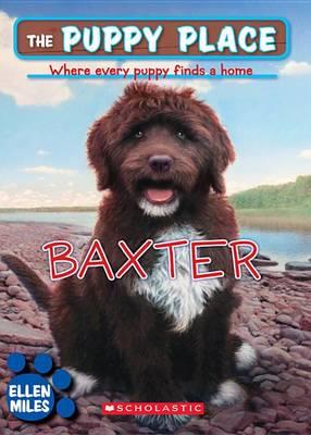 The Puppy Place #19: Baxter - Ellen Miles,Tim O'Brien - ebook