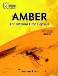 Amber: The Natural Time Capsule - Andrew Ross - cover