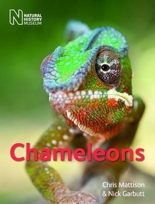 Chameleons - Chris Mattison,Nick Garbutt - cover