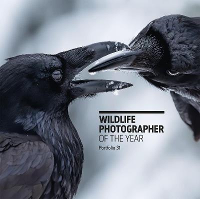 Wildlife Photographer of the Year: Portfolio 31 - cover