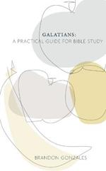 Galatians: A Practical Guide for Bible Study