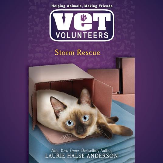 Storm Rescue