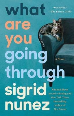 What Are You Going Through: A Novel - Sigrid Nunez - cover