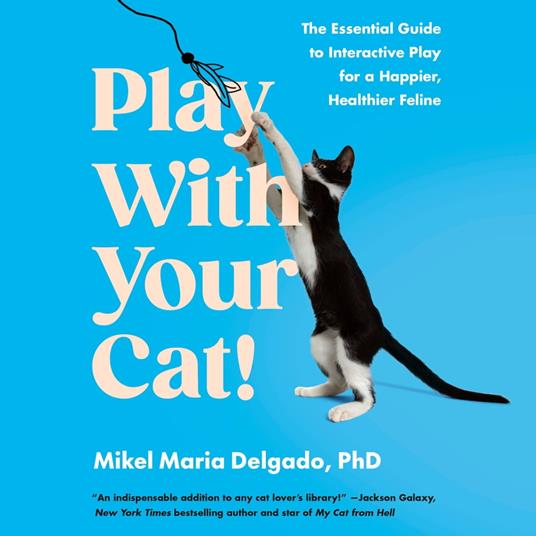Play With Your Cat!