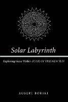 Solar Labyrinth: Exploring Gene Wolfe's BOOK OF THE NEW SUN - Robert Borski - cover