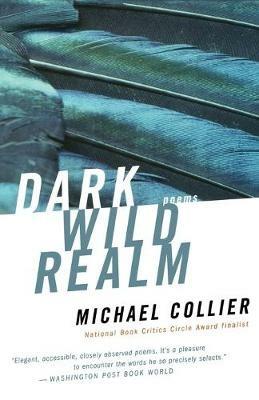 Dark Wild Realm - Michael Collier - cover