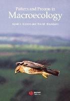 Pattern and Process in Macroecology - Kevin Gaston,Tim Blackburn - cover