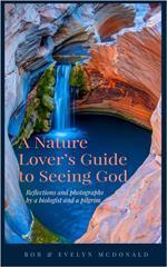 A Nature Lover's Guide to Seeing God