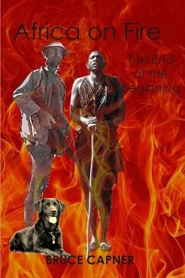 Africa on Fire: The End of the Beginning - Bruce Capner - cover