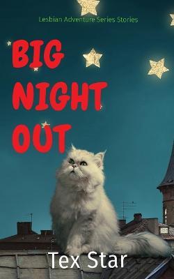 Big Night Out: Lesbian Adventure Series Stories - Tex Starkey - cover