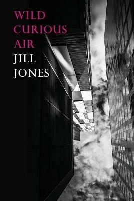 Wild Curious Air - Jill Jones - cover