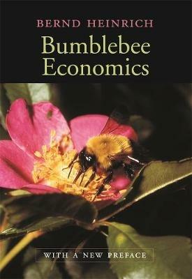 Bumblebee Economics: With a New Preface - Bernd Heinrich - cover