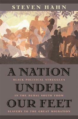 A Nation under Our Feet: Black Political Struggles in the Rural South from Slavery to the Great Migration - Steven Hahn - cover