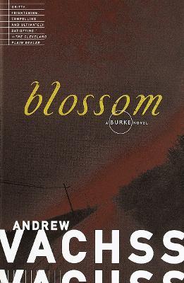 Blossom - Andrew Vachss - cover