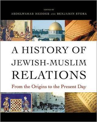 A History of Jewish-Muslim Relations: From the Origins to the Present Day - cover